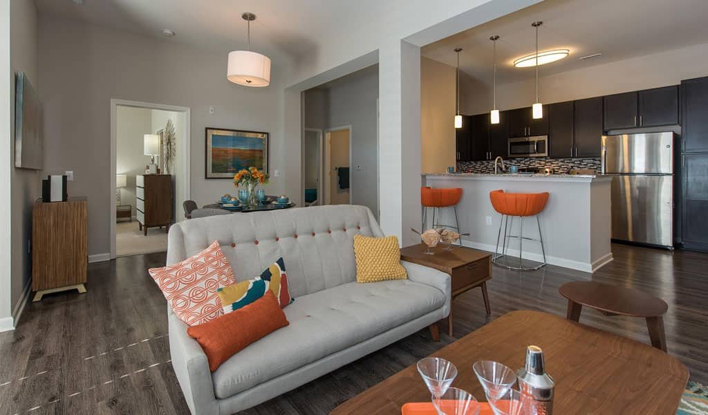 Nexus at Sandhill Apartments | living